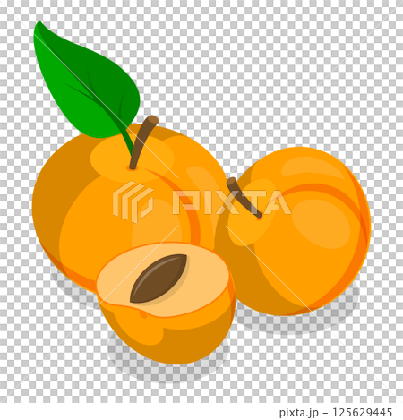 3D Isometric Flat Set of Apricots and Elements. Item 1 3D Isometric Flat Set of Apricots and Elements. Item 1 125629445