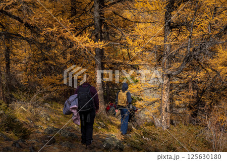 Hikers walking through golden autumn forest with vibrant trees and stunning views 125630180