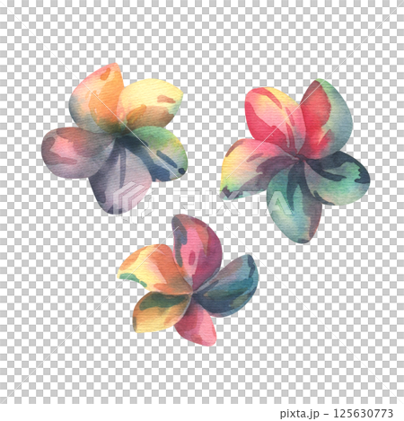 Vibrant watercolor plumeria silhouettes set, three tropical flowers hand-painted in juicy colors. Perfect for summer designs, invitations, and exotic-themed projects. Vibrant watercolor plumeria silhouettes set, three tropical flowers hand-painted in juicy colors. Perfect for summer designs, invitations, and exotic-themed projects. 125630773