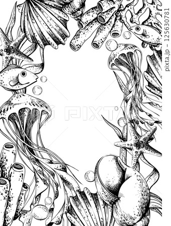Jellyfish, corals, sea sponges, algae, shells, starfish and bubbles. Hand drawn graphic illustration in black and white color line art. Frame template vertical for text on marine theme Jellyfish, corals, sea sponges, algae, shells, starfish and bubbles. Hand drawn graphic illustration in black and white color line art. Frame template vertical for text on marine theme 125630781
