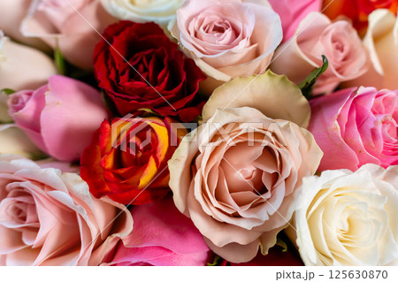 beautifully composed floral pattern made up of a variety of rose flowers in a kaleidoscope of colors, creating a visually striking and enchanting background beautifully composed floral pattern made up of a variety of rose flowers in a kaleidoscope of colors, creating a visually striking and enchanting background 125630870