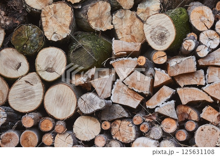 Log Pile Closeup 125631108