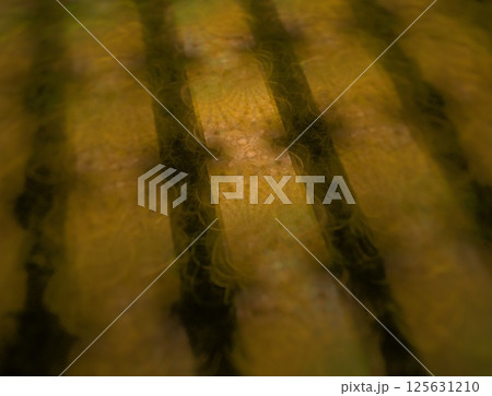 Imaginatory fractal abstract background Image 125631210