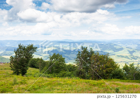 deciduous trees on the green hillside. outdoor adventure. scenery with forested hills of carpathian mountains. scenic view from borzhava ridge on a cloudy day. transcarpathia landscape in summer 125631270