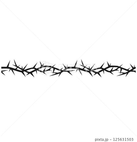 Barbwire vector illustration, thorny black intertwined lines, boundary barb stripe, sharp fence, plant stem with spikes 125631503
