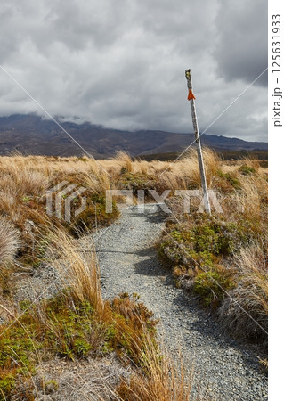 Volcanic Landscape hiking trail Tongariro, New Zealand 125631933