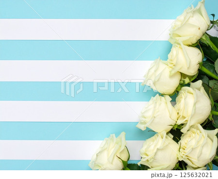 水色と白の縞模様背景に白いバラの背景 125632021