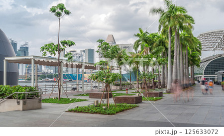 Walk way with palms beside at parks and outdoor of marina bay with Singapore skyscrapers skyline timelapse hyperlapse Walk way with palms beside at parks and outdoor of marina bay with Singapore skyscrapers skyline timelapse hyperlapse 125633072