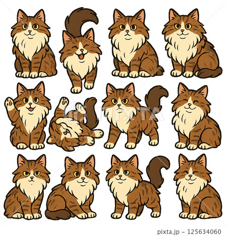 ノルウェージャンフォレストキャットのセット 125634060