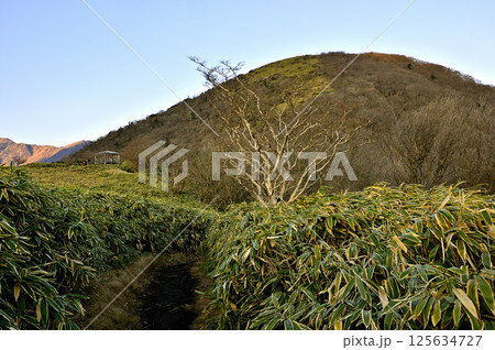 天子山地の竜ヶ岳 笹原の道が続く朝の石仏見晴台 天子山地の竜ヶ岳 笹原の道が続く朝の石仏見晴台 125634727