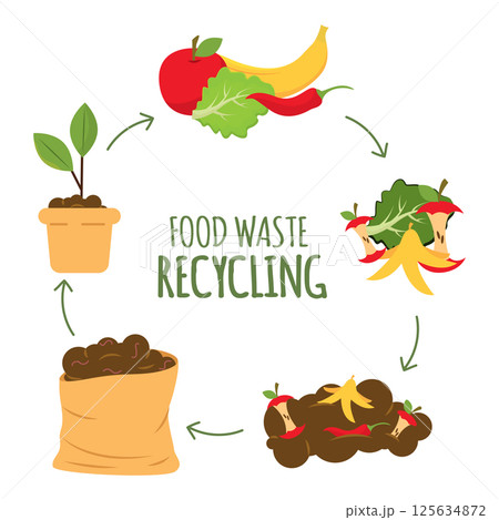 Compost food cycle chart. Vector Compost food cycle chart. Vector 125634872
