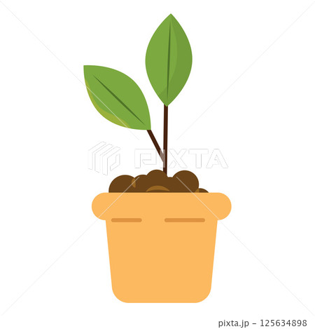 Plant growing in pot. Vector 125634898