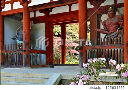 室生寺 仁王門 室生寺 仁王門 125635265