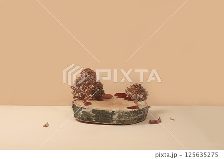 Minimal abstract background for cosmetic products presentation.Empty premium podium with shadows of tropical palm leaves on beige wall,template for design,pedistal display podium,selective focus Minimal abstract background for cosmetic products presentation.Empty premium podium with shadows of tropical palm leaves on beige wall,template for design,pedistal display podium,selective focus 125635275