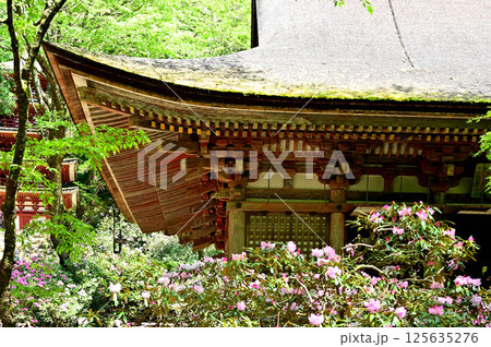 室生寺　本堂 125635276