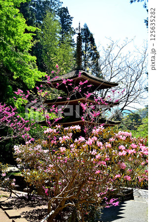 室生寺 五重塔 室生寺 五重塔 125635282