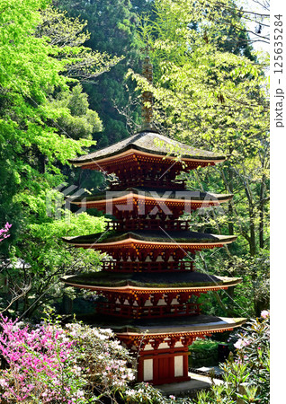 室生寺　五重塔 125635284
