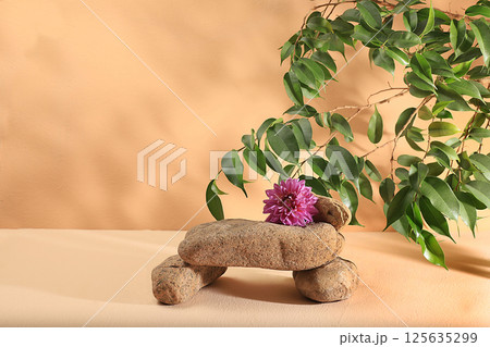 Minimal abstract background for cosmetic products presentation.Empty premium podium with shadows of tropical palm leaves on beige wall,template for design,pedistal display podium,selective focus 125635299