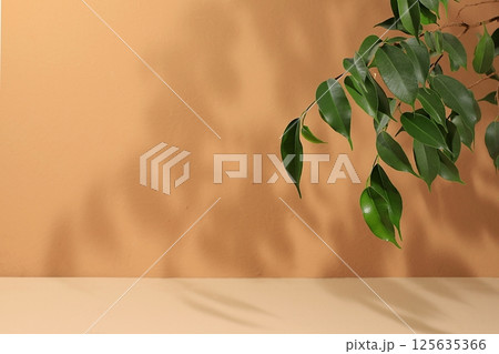 Empty showcase for display or presentation of cosmetic products, scene for design, abstract background with tropical leaves and shadows, modern creative display, selective focus 125635366