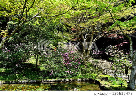 室生寺 境内 室生寺 境内 125635478