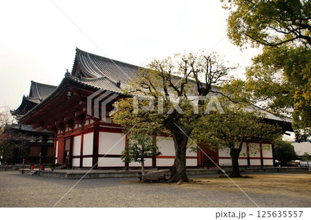 京都府　東寺・講堂（重要文化財） 京都市 南区 九条町　2022年2月 125635557