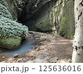 岩肌を流れる清流 125636016