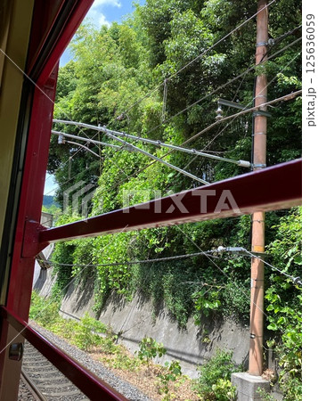 嵐山へ行くトロッコからの風景 125636059