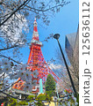 桜と東京タワー 125636112