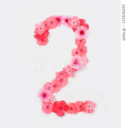 Number 2 made from real fresh flowers. Floral font concept, alphabet. Unique collection of letters and numbers for design. Spring, summer, autumn and valentines, creative idea, selective focus Number 2 made from real fresh flowers. Floral font concept, alphabet. Unique collection of letters and numbers for design. Spring, summer, autumn and valentines, creative idea, selective focus 125636293
