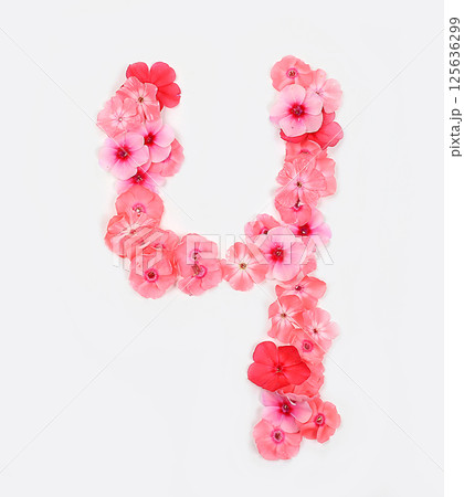 Number 4 made from real fresh flowers. Floral font concept, alphabet. Unique collection of letters and numbers for design. Spring, summer, autumn and valentines, creative idea, selective focus Number 4 made from real fresh flowers. Floral font concept, alphabet. Unique collection of letters and numbers for design. Spring, summer, autumn and valentines, creative idea, selective focus 125636299