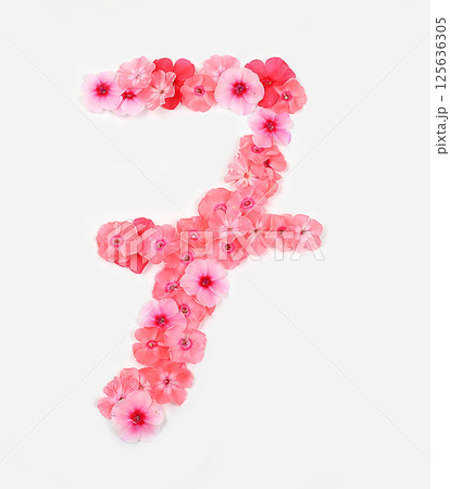 Number 7 made from real fresh flowers. Floral font concept, alphabet. Unique collection of letters and numbers for design. Spring, summer, autumn and valentines, creative idea, selective focus 125636305