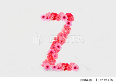 A letter Z made from real fresh flowers. Creative floral font concept. Unique collection of letters and numbers for design. Spring, summer, autumn and valentines, creative idea, selective focus A letter Z made from real fresh flowers. Creative floral font concept. Unique collection of letters and numbers for design. Spring, summer, autumn and valentines, creative idea, selective focus 125636310