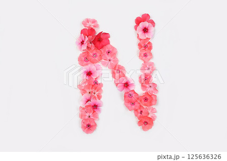 A letter N made from real fresh flowers. Creative floral font concept. Unique collection of letters and numbers for design. Spring, summer, autumn and valentines, creative idea, selective focus 125636326