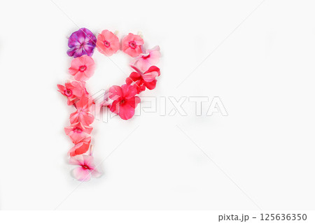 Letter P made from real fresh flowers. Floral font concept. Unique collection of letters and numbers for design. Spring, summer, autumn and valentines, creative idea, selective focus Letter P made from real fresh flowers. Floral font concept. Unique collection of letters and numbers for design. Spring, summer, autumn and valentines, creative idea, selective focus 125636350