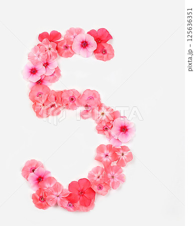 Number 5 made from real fresh flowers. Floral font concept, alphabet. Unique collection of letters and numbers for design. Spring, summer, autumn and valentines, creative idea, selective focus 125636351