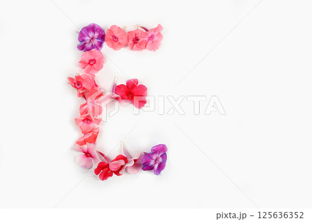 Letter E made from real fresh flowers. Floral font concept. Unique collection of letters and numbers for design. Spring, summer, autumn and valentines, creative idea, selective focus Letter E made from real fresh flowers. Floral font concept. Unique collection of letters and numbers for design. Spring, summer, autumn and valentines, creative idea, selective focus 125636352