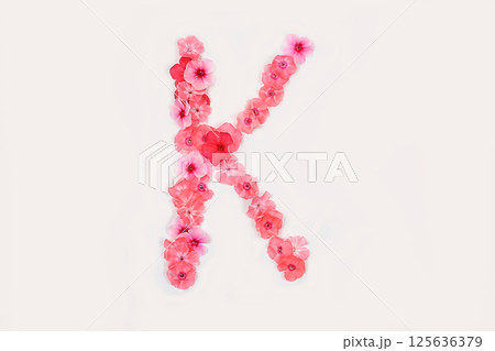 A letter K made from real fresh flowers. Creative floral font concept. Unique collection of letters and numbers for design. Spring, summer, autumn and valentines, creative idea, 125636379