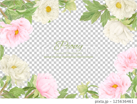 美麗的牡丹花框畫水彩 美麗的牡丹花框畫水彩 125636461