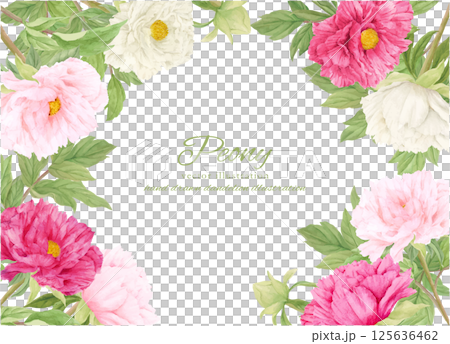 美麗的牡丹花框畫水彩 美麗的牡丹花框畫水彩 125636462