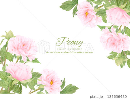 水彩で描いた美しい牡丹の花のフレーム 水彩で描いた美しい牡丹の花のフレーム 125636480