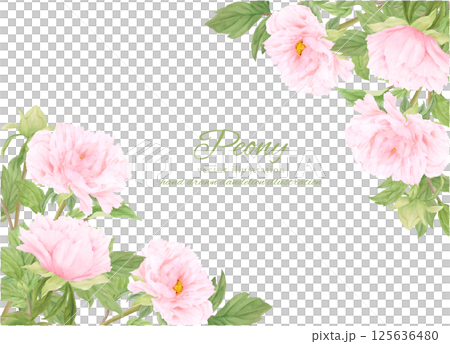 水彩で描いた美しい牡丹の花のフレーム 水彩で描いた美しい牡丹の花のフレーム 125636480