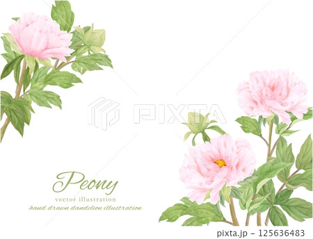 水彩で描いた美しい牡丹の花のフレーム 水彩で描いた美しい牡丹の花のフレーム 125636483