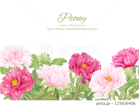 水彩で描いたピンクの牡丹の花のフレーム 125636486