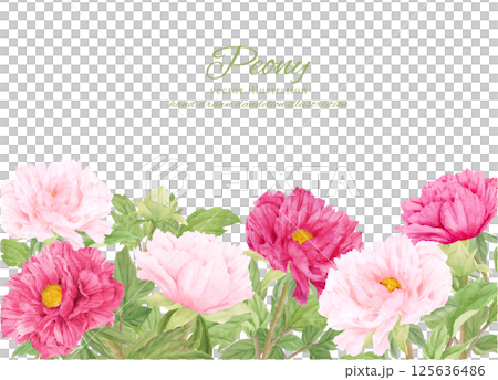 Watercolor painted pink peony flower frame 125636486