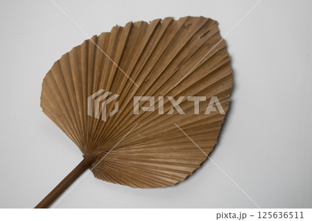 Dried palm leaves on a white background 125636511