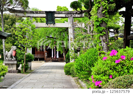 三輪恵比須神社 三輪恵比須神社 125637579
