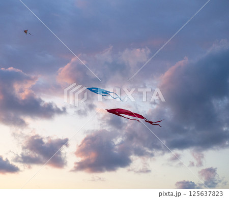 Kite Festival. Kites in the sky. A spectacle . Wind is like a force. air objects. Various forms. A beautiful sight. Aerodynamics. Object in the sky. Kite Festival. Kites in the sky. A spectacle . Wind is like a force. air objects. Various forms. A beautiful sight. Aerodynamics. Object in the sky. 125637823