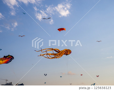 Kite Festival. Kites in the sky. A spectacle in the sky. Wind is like a force. air objects. Various forms. A beautiful sight. 125638123