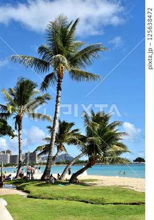 ハワイの休日 125638472