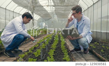 Two Biotechnology man engineer holding magnifying glass and looking at the vegetables leaf in hydroponics farm for disease, Professional researcher agriculture scientist use laptop computer 125638581